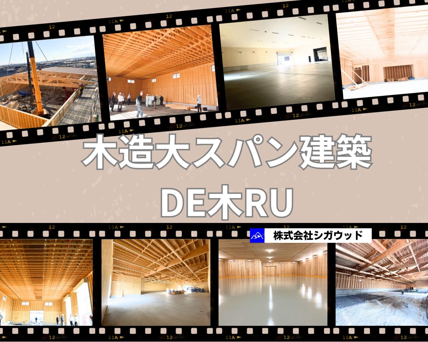 木造大スパン建築　DE木RU